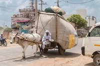 Picture of an ox-driven merchant caravan in Inda